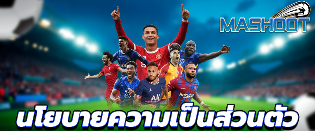 นโยบายความเป็นส่วนตัว